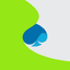 Capgemini SE logo
